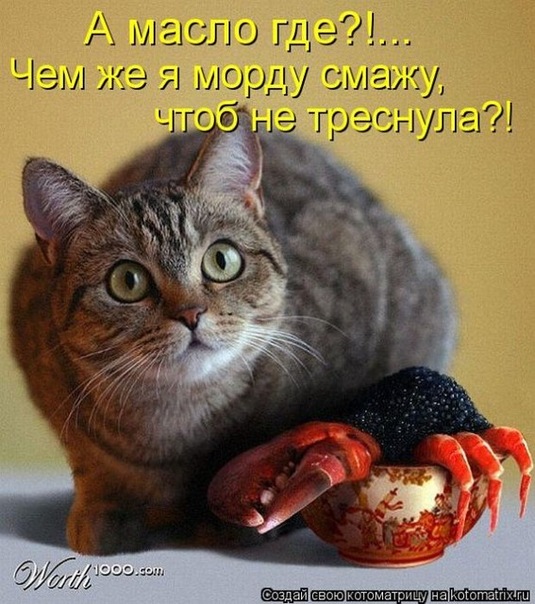 http://cs11064.vkontakte.ru/u138729050/138641379/x_e670082d.jpg